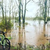 User avatar for Pete Lewis