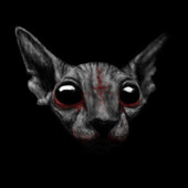 User avatar for Patrick McMullen