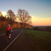 User avatar for Laurie Daugherty