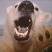 User avatar for Zach Heise