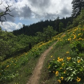 User avatar for Archie Wann