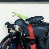 User avatar for Jim Garner