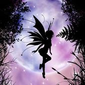 User avatar for Tasha Sanborn