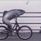 User avatar for Emily Swensen