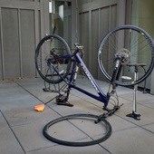 User avatar for David Green