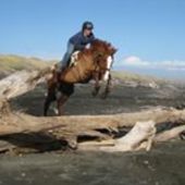 User avatar for Mikaela Bergström