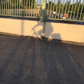 User avatar for T Ballew