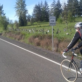 User avatar for Michael Wolfe