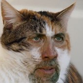 User avatar for Mike Healy