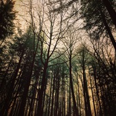 User avatar for Jessica Nye