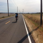 User avatar for Amy Hardy