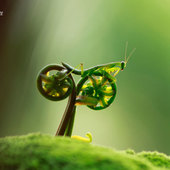 User avatar for Andria Schulze