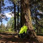 User avatar for Greg Wilken