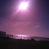 User avatar for Cheyenne Bailey