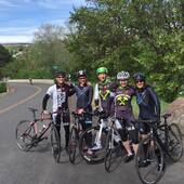 User avatar for Karin Wohlert