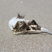 User avatar for Eloise Bacher