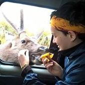 User avatar for Dijana Vojvodić