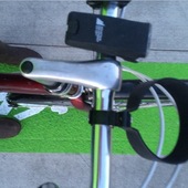 User avatar for Mistee Dee