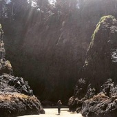 User avatar for Lauren Whitebread