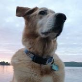 User avatar for Chris Kolb