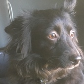 User avatar for Reid Pederson