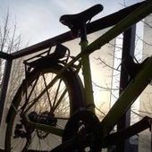 User avatar for Nikki Guillot