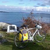 User avatar for Carol Young