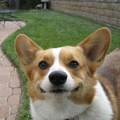 User avatar for Jeffrey Garlock