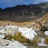 User avatar for Becca Peterson Perry