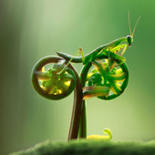 User avatar for Kathy Shearin