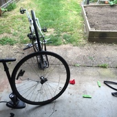 User avatar for Tim Blackburn