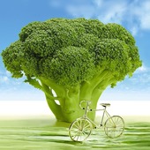 User avatar for Miriam Wolf