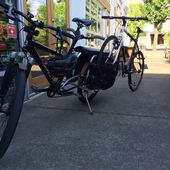 User avatar for Nick Leritz