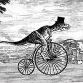 User avatar for Adrianna Stanley