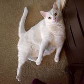 User avatar for Nicole Worthington