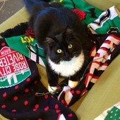 User avatar for Cara O'neil