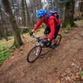 User avatar for Marko Katalenić