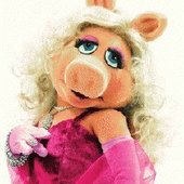 User avatar for Dragana Dilparić