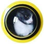 User avatar for Eduard Werft