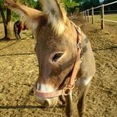 User avatar for Dusko Kondic