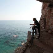 User avatar for Martina Posilović Bister