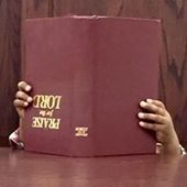 User avatar for Adam Higginbotham