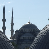 User avatar for Ann G