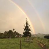 User avatar for Julie Geange