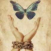 User avatar for Faith Knytych