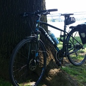 User avatar for Juan Carlos Nuño