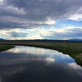 User avatar for Randy Pratt