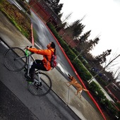 User avatar for Nhien Le