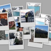 User avatar for Pam Neild