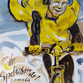 User avatar for Steven Corson